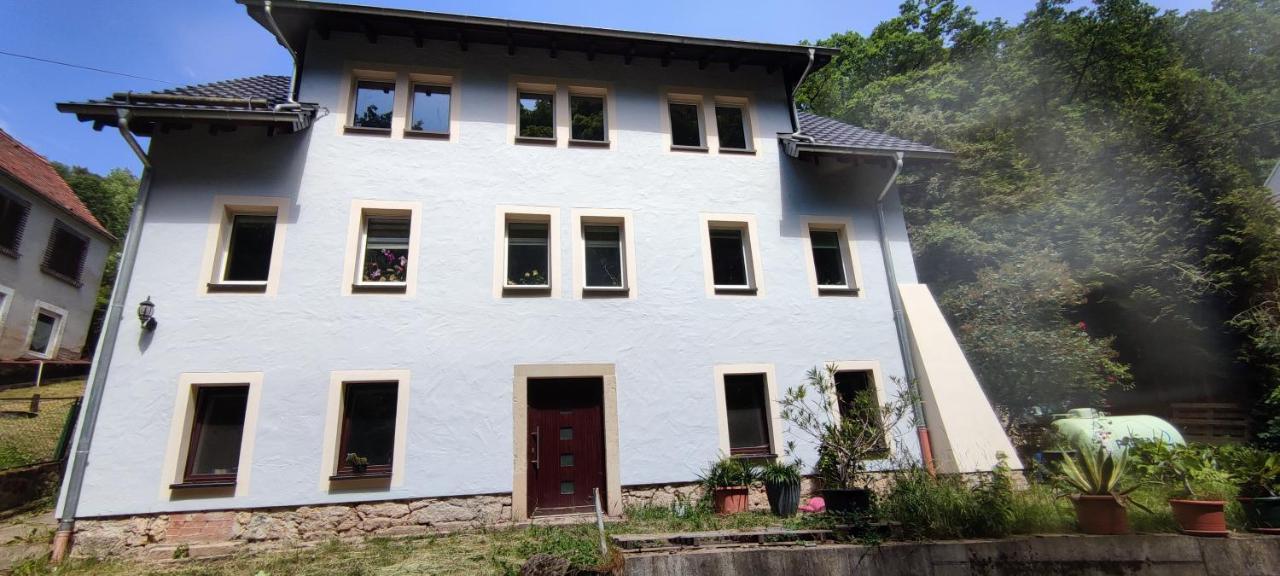 Apartment Mitten In Der Natur, Ganz Nah Bei Dresden. *