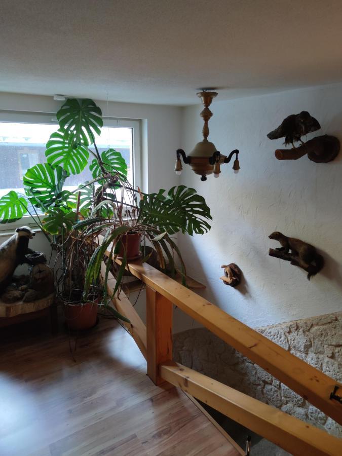 Mitten In Der Natur, Ganz Nah Bei Dresden. Apartment